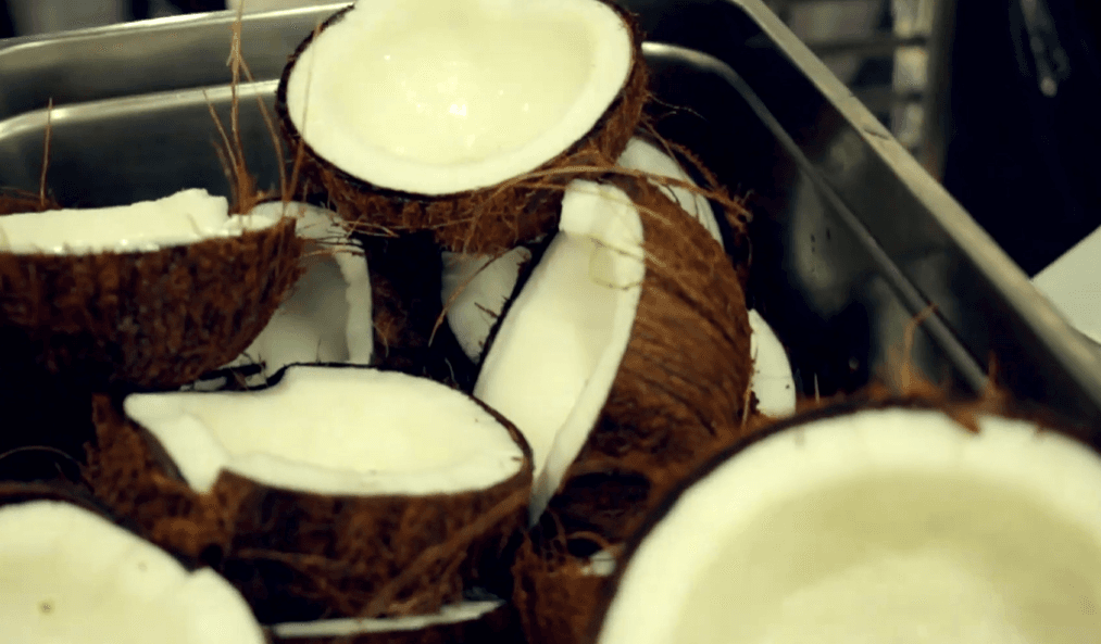 Chair et eau de coco visibles, noix ouverte