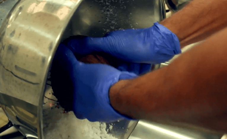 Extraction manuelle de la chair