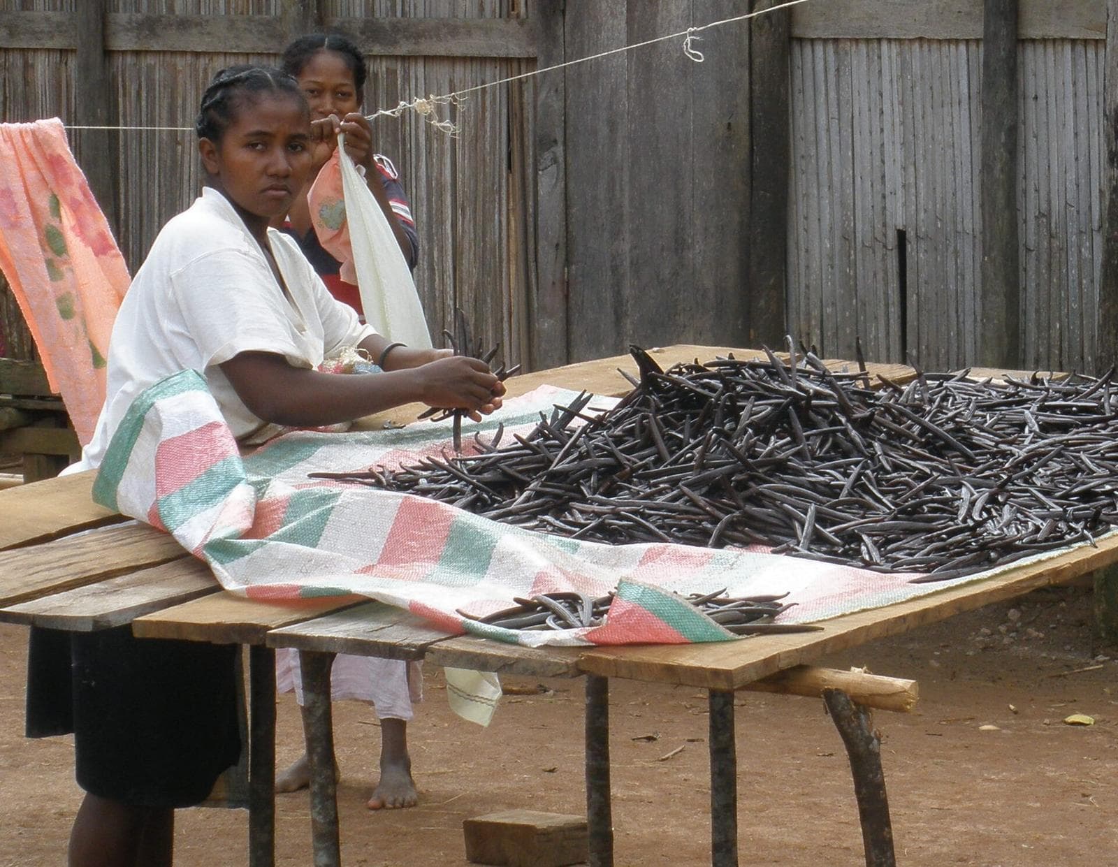 Tri de la vanille à Sambava, Madagascar